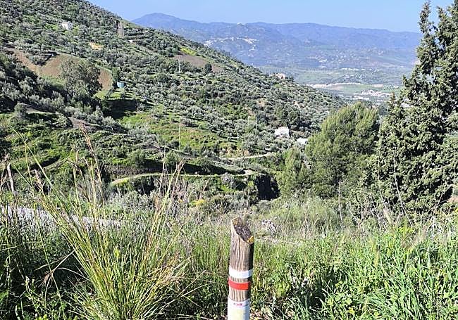 This section of the Gran Senda de Málaga is rich in biodiversity.