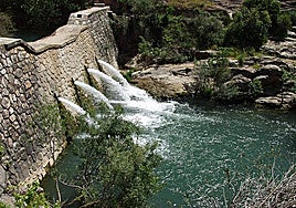 Five plans in Malaga's countryside as alternative to Holy Week processions