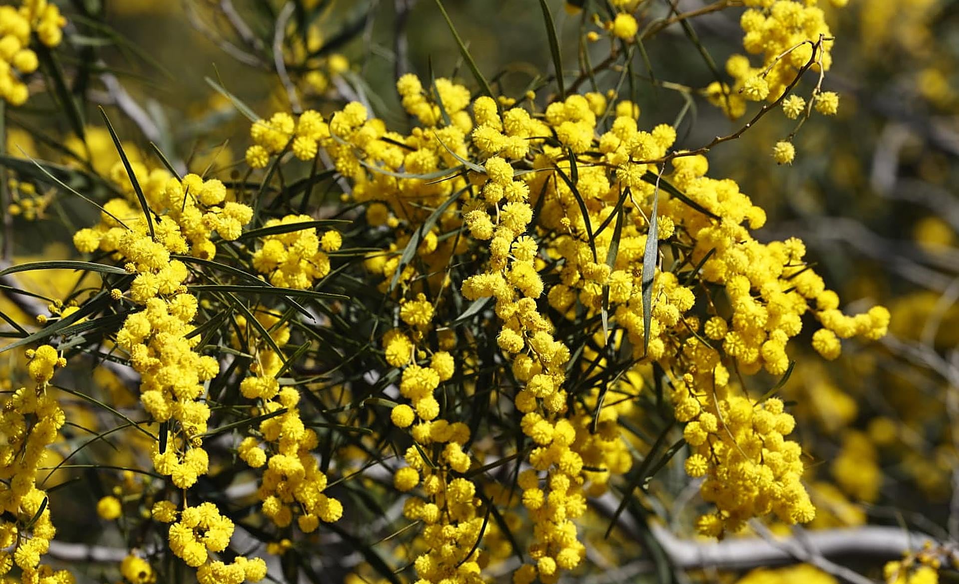 Scroll Story imagen 1