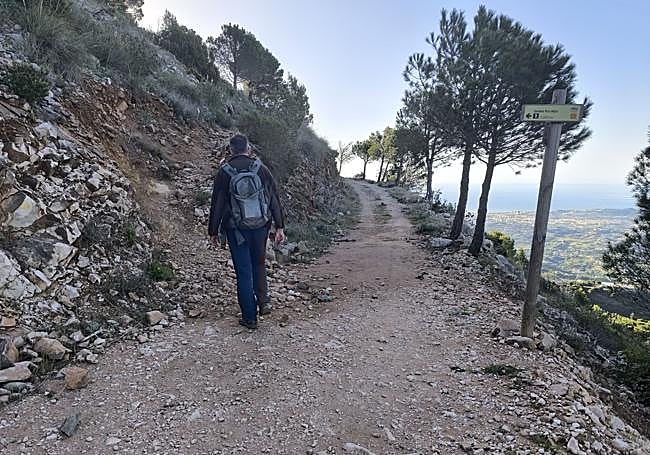 After a few metres along a forest track, take a left turn.