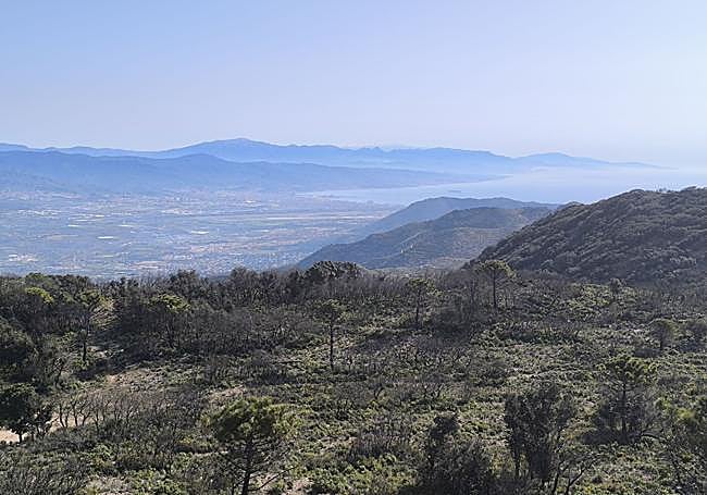 View of the Bay of Malaga from the summit