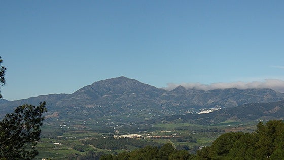 Government shelves Zalea solar plant project in Malaga after developer withdraws