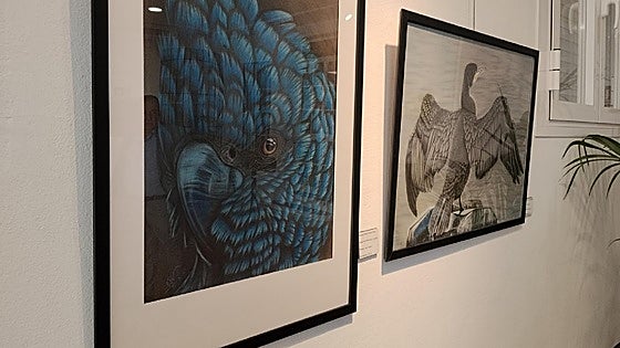 Guadalhorce cultural group hosts collaborative exhibition