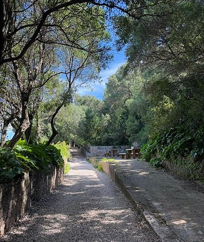 Imagen secundaria 2 - Gibraltar celebrated World Heritage Day as visitor experience transformation continues