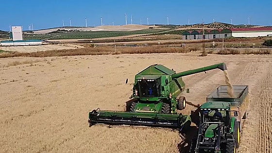 War impact reaches Malaga's countryside, increasing price of some groceries