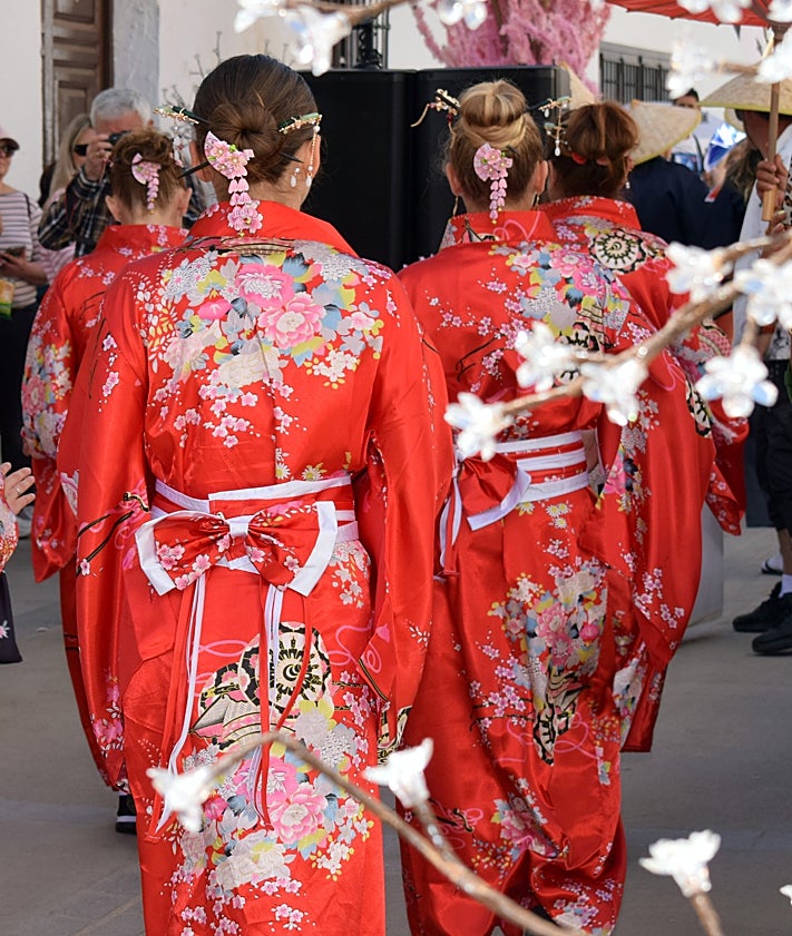 Imagen secundaria 2 - Top: planting during the Sakuratón on Saturday; images from Sakura on Sunday