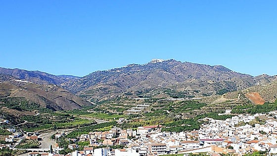 Head to Malaga's Benamargosa for its annual country fair