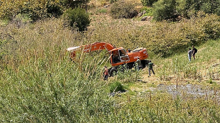 Two arrested in protest against tree felling in Nerja