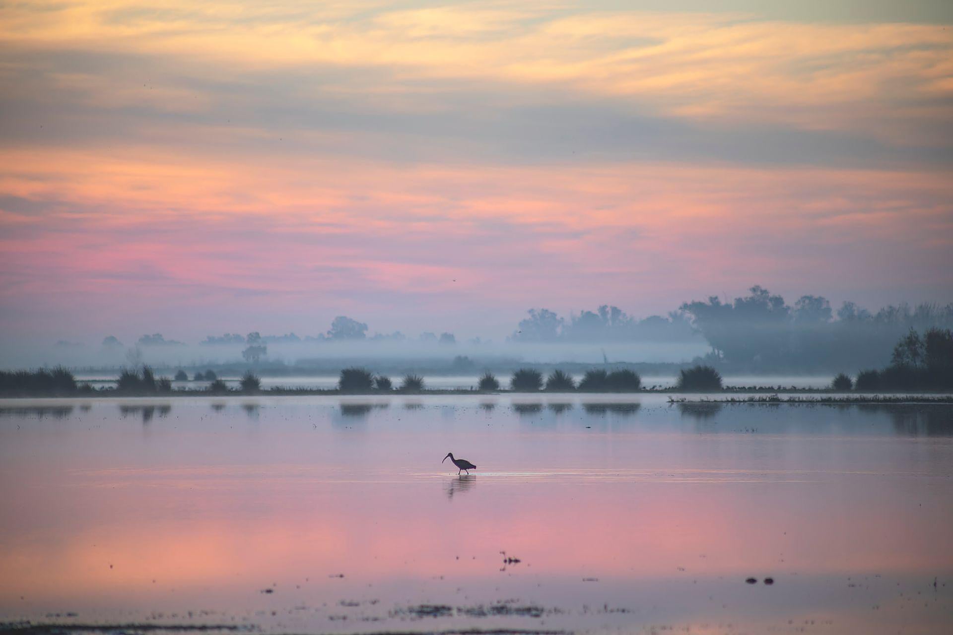 Doñana Park in pictures