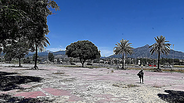 The municipal plot of land El Cielo de San Pedro where the future interchange will be located.