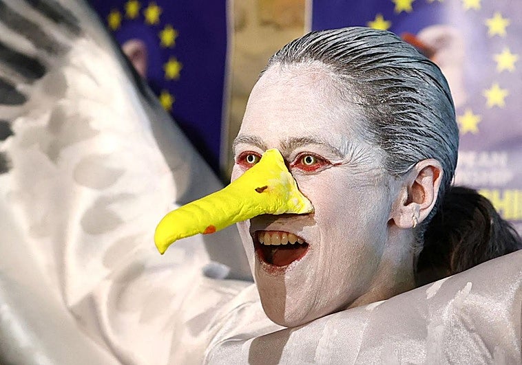 From Galicia to Belgium, becoming runner-up at the 6th European seagull screeching competition