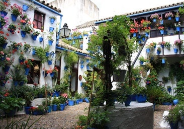 Cordoba gears up for for one of its most distinctive spring traditions in May