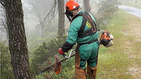 Mijas steps up forest fire prevention in lead-up to high-risk season
