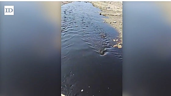 Accidental spillage of molasses from Costa Tropical mill turns River Guadalfeo black