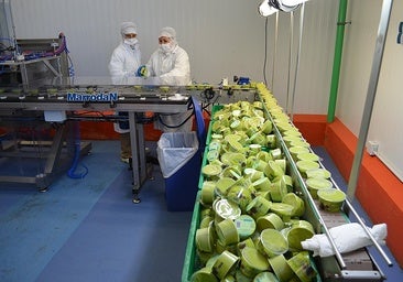Guacamole production at Frutas Montosa in Vélez-Málaga