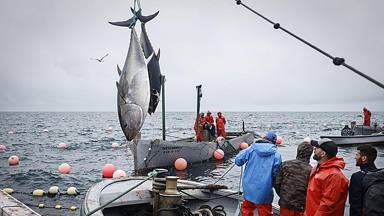 From fishing nets in Barbate to the markets of Malaga