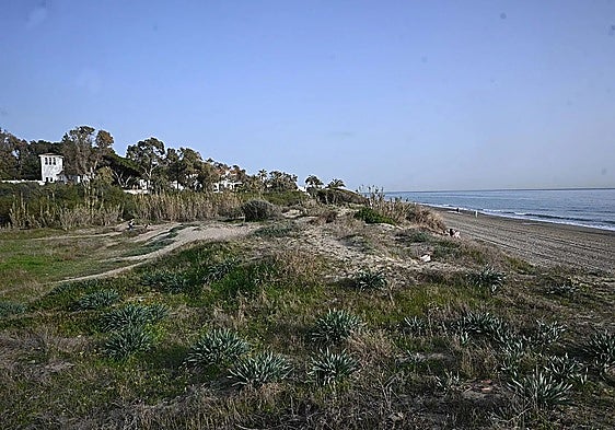 Five-star hotel and dune regeneration: Green light for hotel development project in Las Chapas
