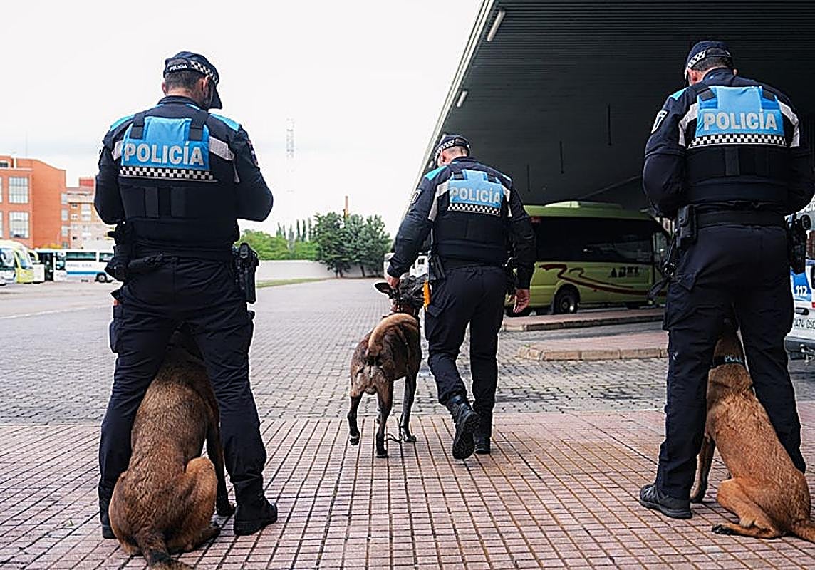 Imagen de Galeria 
