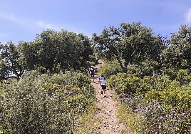 The most demanding incline of the route