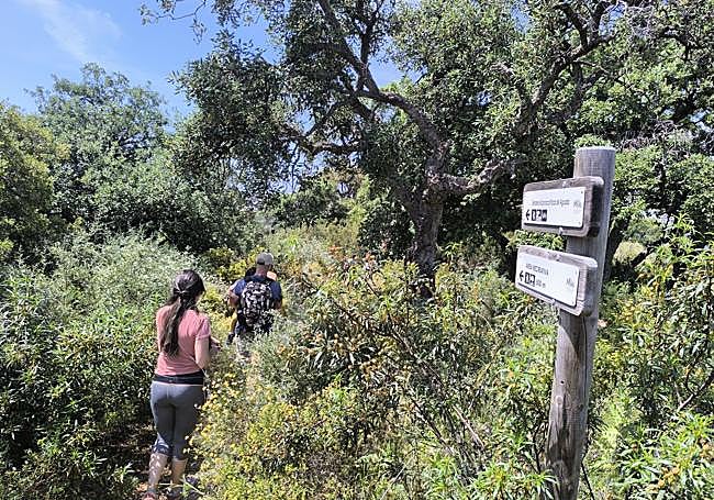 The route is well signposted