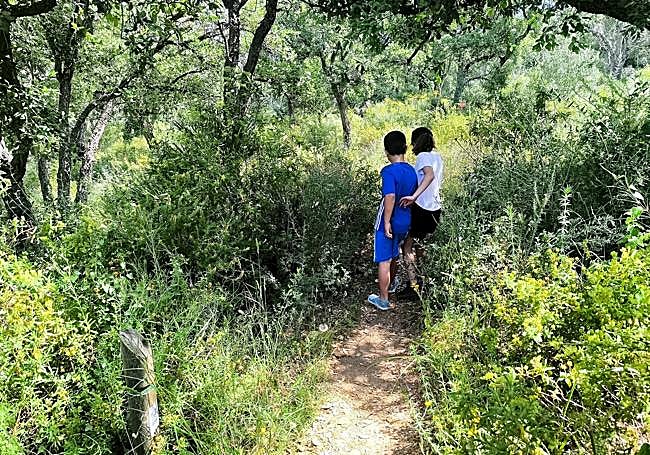 In addition to cork oaks, there is a particular abundance of Mediterranean scrub.