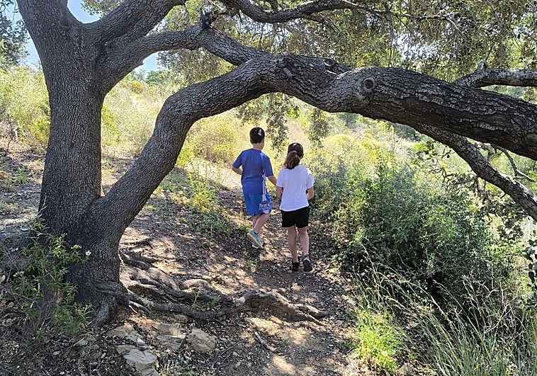 This trail is ideal to do with children.