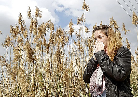 The rise in pollen levels is causing suffering for many people in Malaga province this spring.