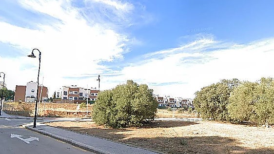 Malaga increases municipal land funds by auctioning off land for housing