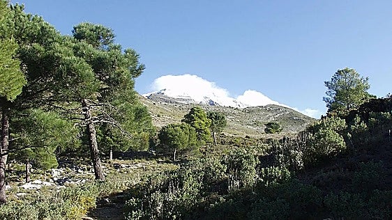 Five hiking routes across Malaga's natural parks