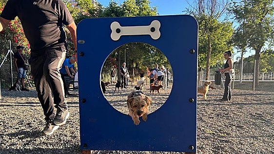 Torremolinos inaugurates its seventh canine park