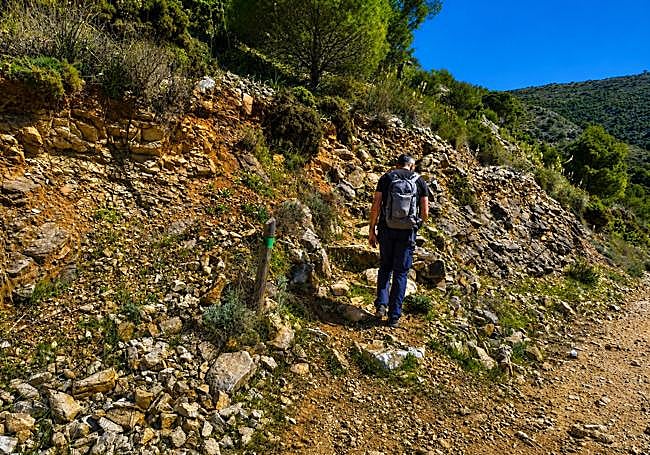 Climbing the old drovers track
