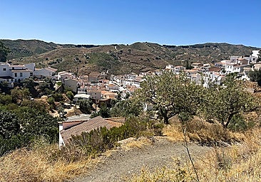 Malaga province town hall issues warning after colony cats shot