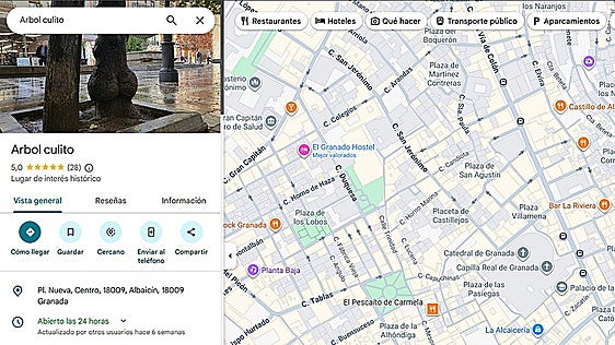 Granada's 'little bum' tree gets five-star rating on Google Maps