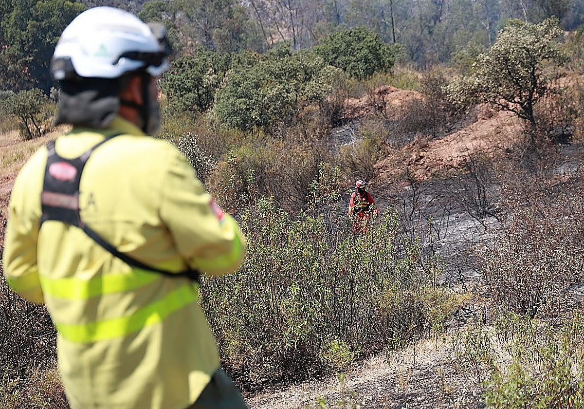 Huelva wildfire stabilises as nearly 100 evacuated residents return home in Andalucía