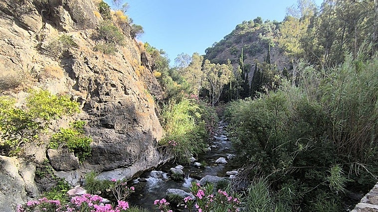 Millanas Route (Río Grande) - a walk in the Sierra de las Nieves from Tolox