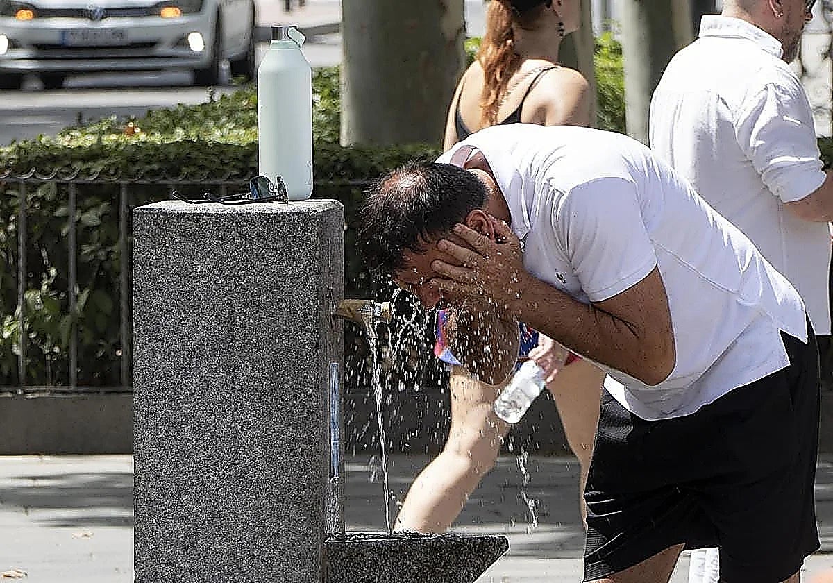 Malaga issues yellow warning for up to 38C as heatwave reaches the province