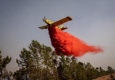 Andalucía wildfire forces evacuation of 467 people