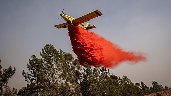 Andalucía wildfire forces evacuation of 467 people