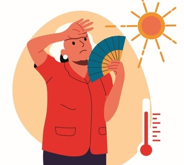 A practical guide to surviving a heatwave