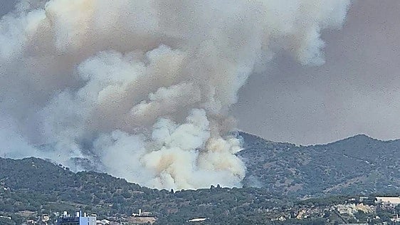 Catalan police arrest man on suspicion of starting forest fire near Barcelona