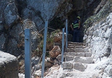 The Mediterranean Steps