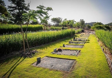 A view of the pet cemetery.