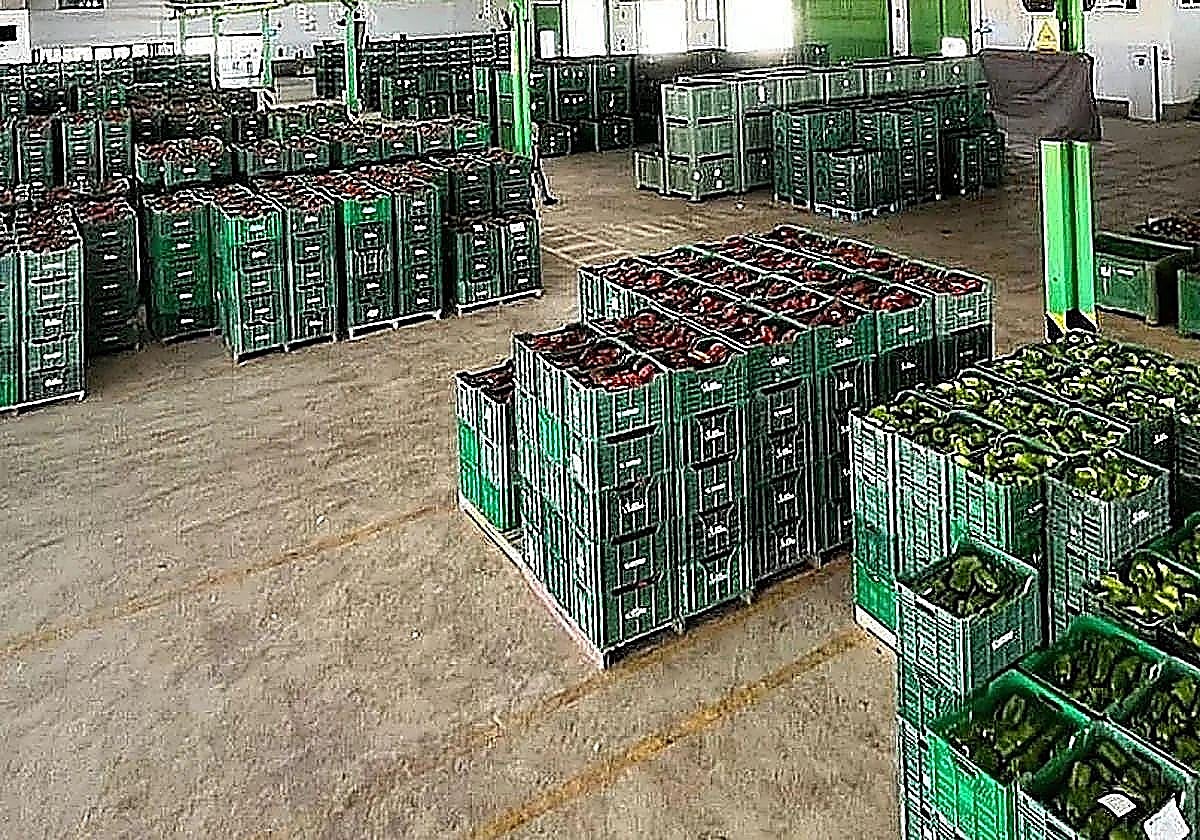 Murcia's fruit and vegetable exports to the UK have suffered a sharp decline as a result of Brexit