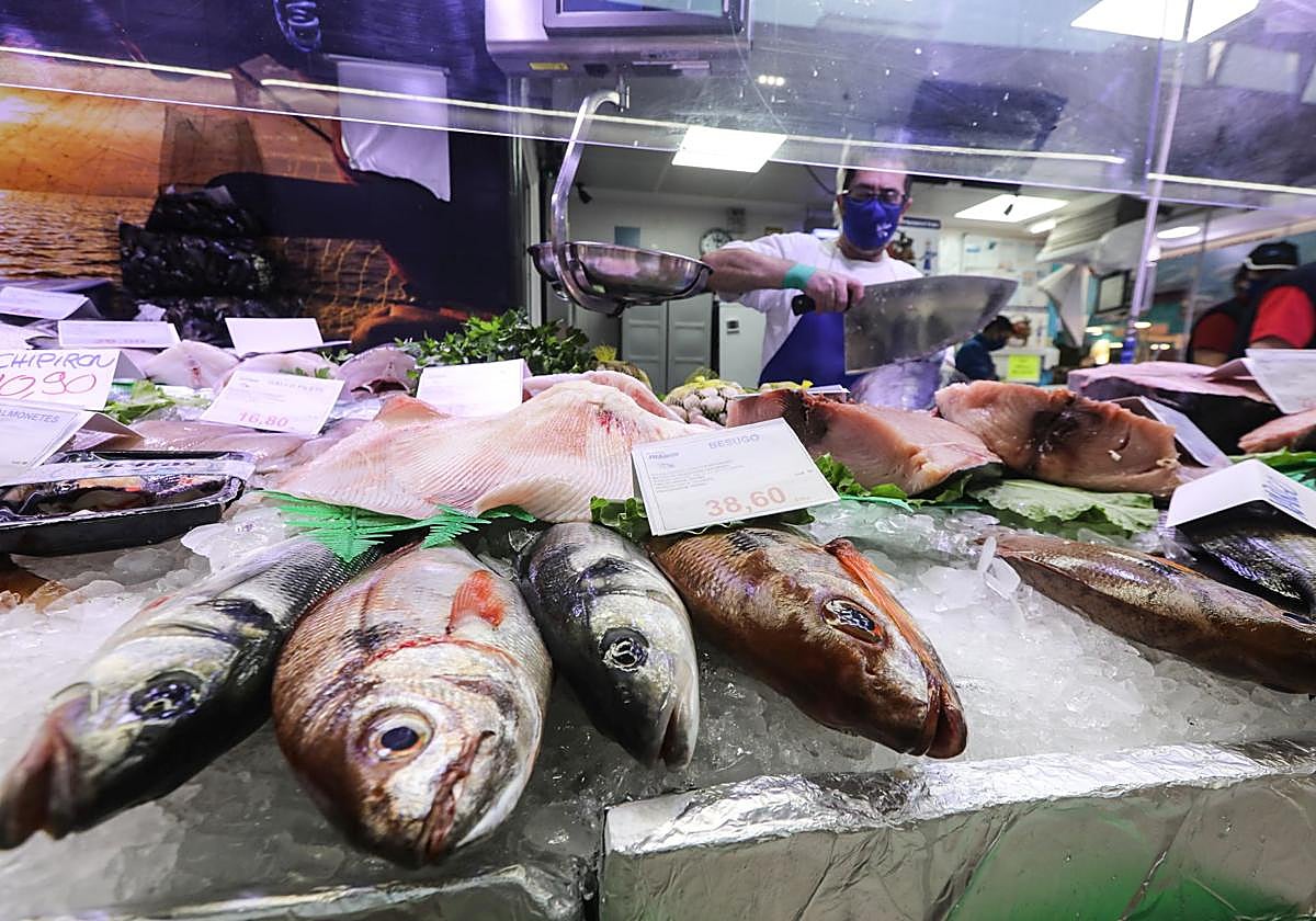 A fish-lover's paradise