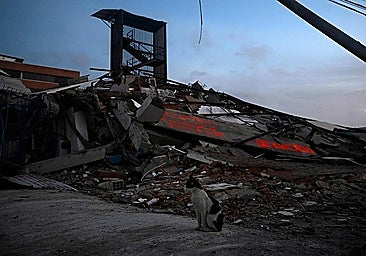 Government raises number of Spaniards killed in Venezuela double earthquake to 27