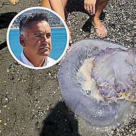 Giant jellyfish found in Salobreña, in a file photo