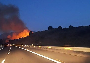 Photo of the fire captured from the AP-7 near Marbella.