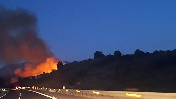 Marbella forest on fire just 200 metres from AP-7 motorway