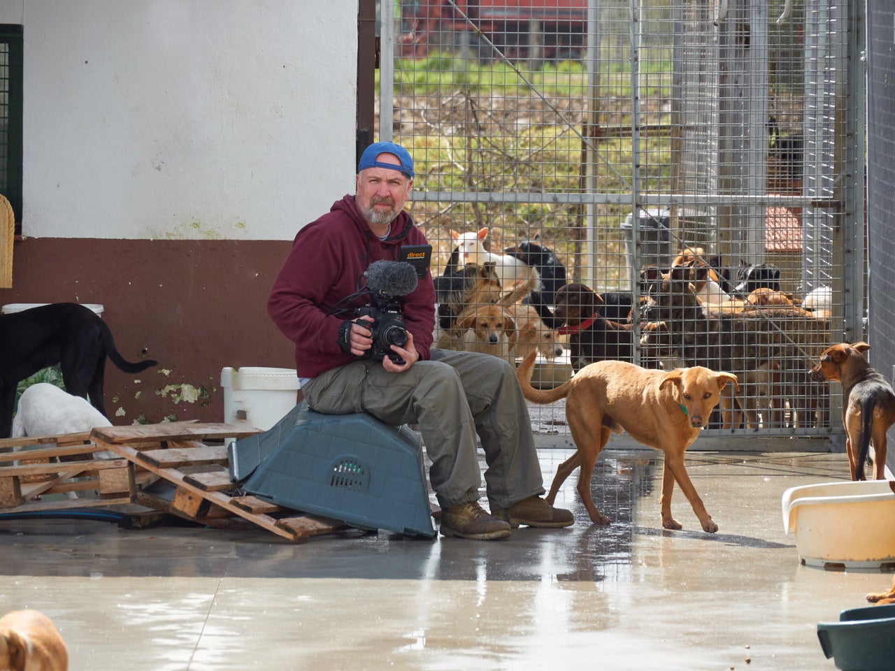 Imagen secundaria 2 - Man films his first documentary after visit to Los Barrios dog shelter