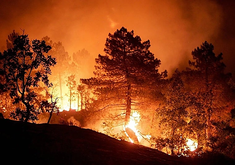 The 2005 Guadalajara fire.
